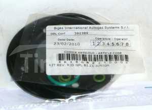 Bigas RI-21 SGIS Junior Reducer/Vaporiser Repair Kit